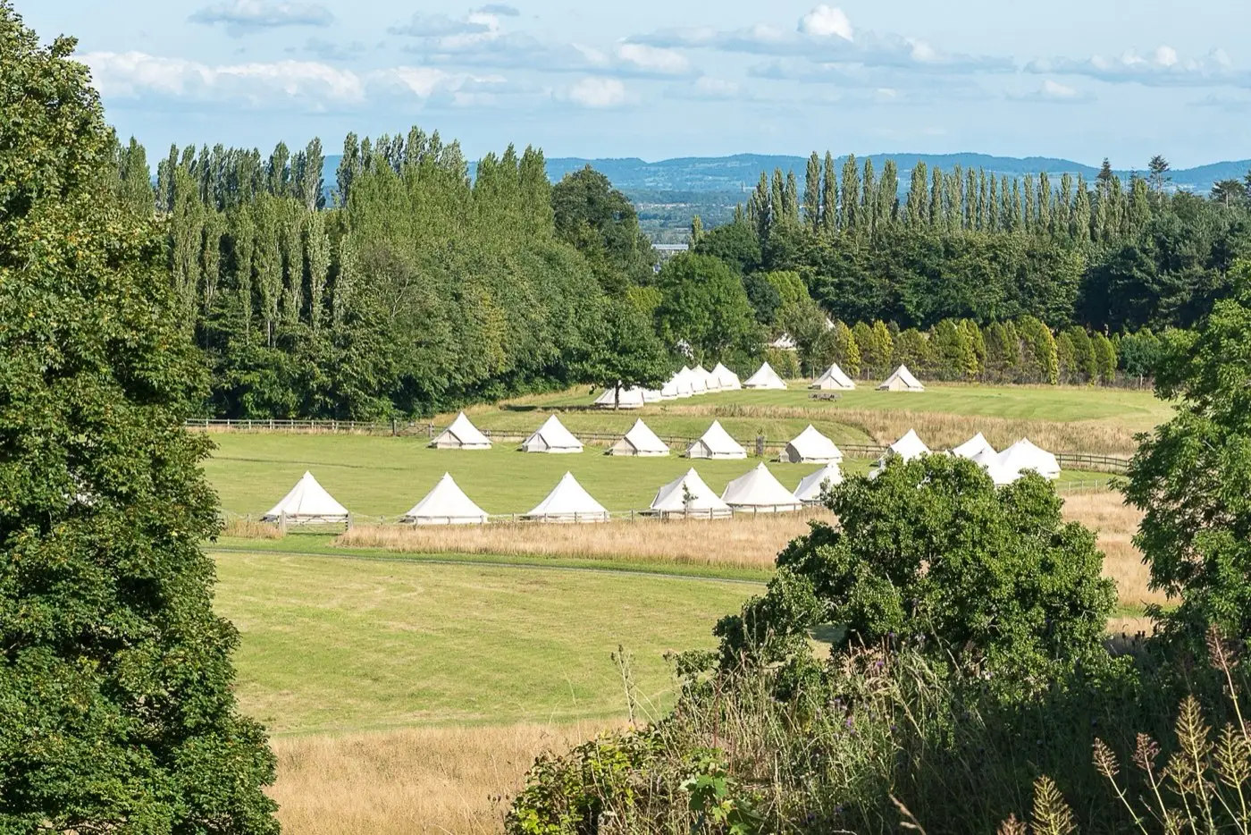 A village of white bell tents in a field at a summer wedding