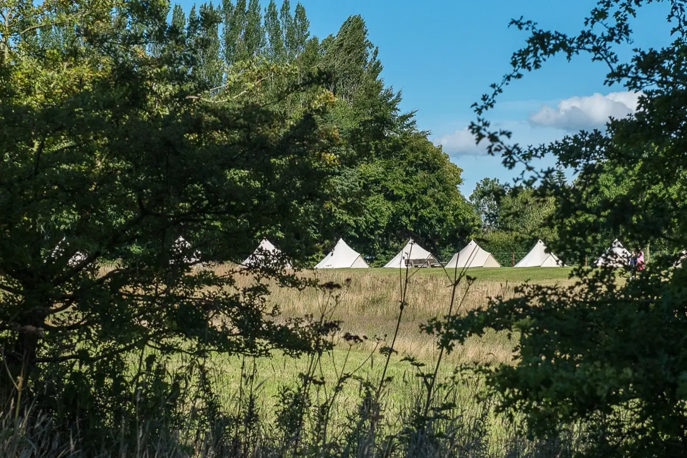 Bell tents seen through trees at the edge of a wedding field